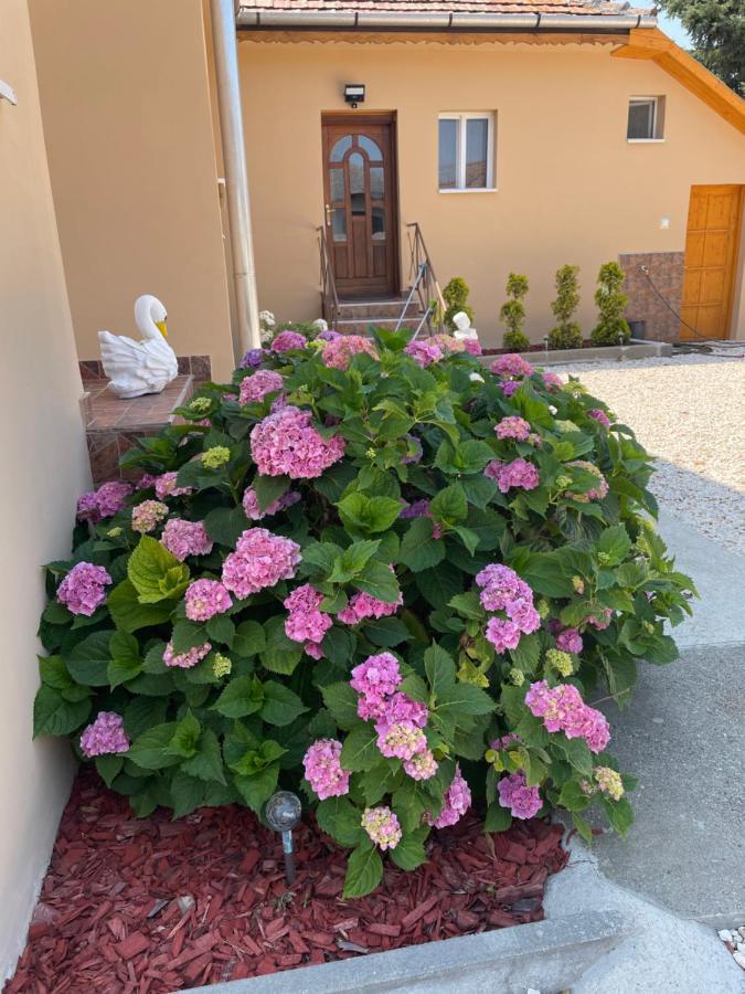 Toerpi Apartman Halmaj Exterior foto